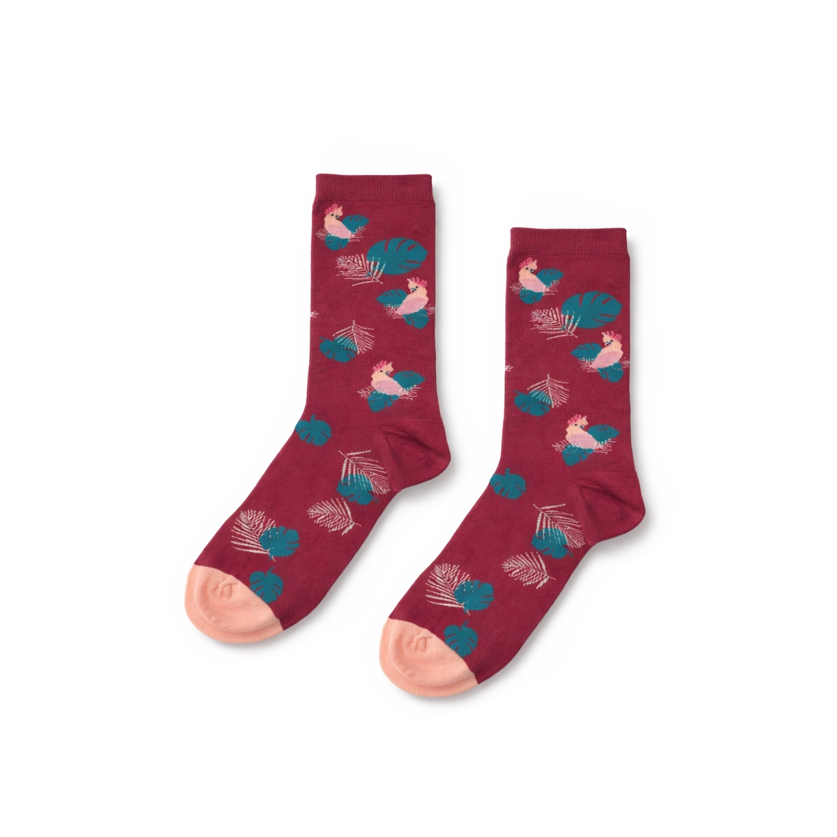 WildSock Cockatoo - burgundy socks with tropical parrot and leaves
